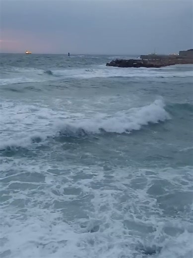 Suscitez l'intérêt avec le programme LIVE en Algérie