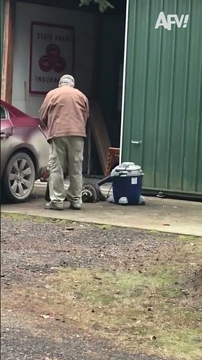 Raccoon caused a ruckus 😂🦝 #afv #funny #shorts