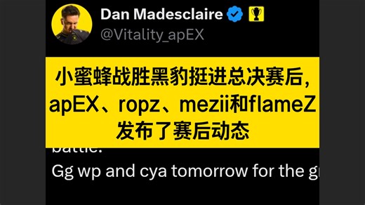 小蜜蜂战胜黑豹挺进总决赛后, apEX、ropz、mezii和flameZ 发布了赛后动态
