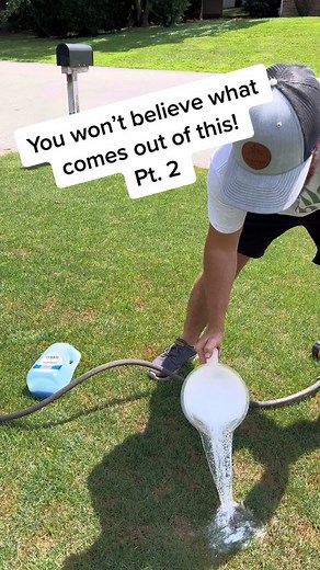 These are never a good sign when they are in your lawn! The army worm can destroy a lawn overnight! #cantbelieveit #guesswhat #lawntok #grasstok #dawndishsoap #before #after #satisfying #oddlysatisfying #armyworms #armyworm #lawn