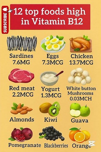 12 Top Foods High in Vitamin B12 | Boost Energy, Brain & Immunity Naturally