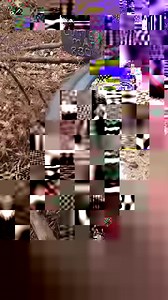 2M views · 6.3K reactions | Circling the pine tree #NationsLeague #NacionalFemenino #cr7 | Bishop Alex Chama III | Facebook