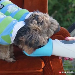 218K views · 963 reactions | You and your dog can both drink from this silicone water bottle | Interesting Engineering | Facebook