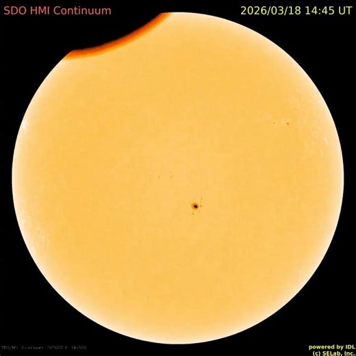 태양 전면 주간 동영상 (weekly solar full-disk movie : 2026. 3. 16 ~ 3. 22) #sun #solar #sunspot #태양 #흑점