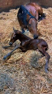 How was Penelope ever this small?🥹 February 3, 2023 | Katie Van Slyke