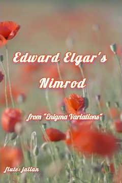 Edward Elgar : NIMROD FROM ENIGMA VARIATIONS op. 36 | #classicalmusic #flute #music