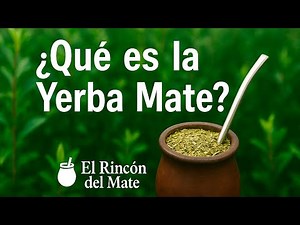 What is Yerba Mate? | History, benefits, and tradition 🧉🍃
