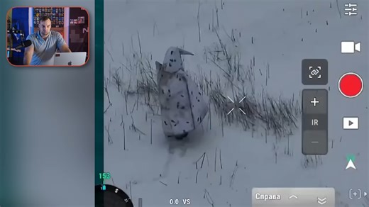 It found them alone - the drone that liberated a penguin