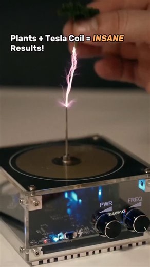 AI MindFire on Instagram: "High-voltage electrical experiment using a Tesla coil high-frequency electrical generator. This is testing how different natural objects react when exposed to high-voltage electricity. This is a high-voltage electrical demonstration showing how different organic materials conduct electricity and react to plasma discharge. The purple arcs are characteristic of electrical corona discharge in air. The experiment shows that: All organic materials can conduct some electrici