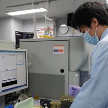 Video: In Vitro Generation of Somite Derivatives from Human Induced Pluripotent Stem Cells