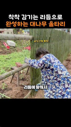 착착 감기는 리듬으로 완성하는 대나무 울타리