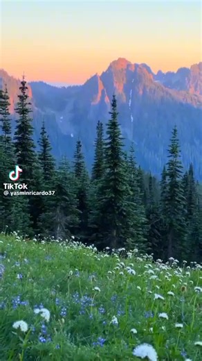 Hillsong worship - wtha a beautiful name ✝️❤️❤️✨