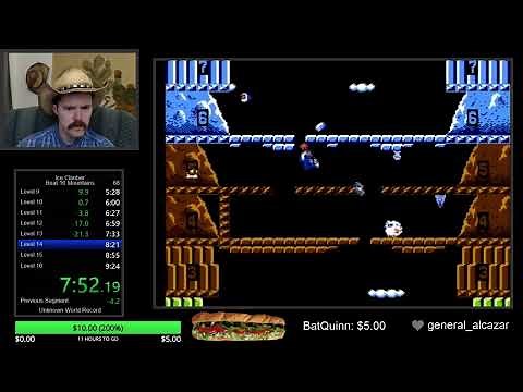Ice Climber (16 Mountains) NES speedrun in 9:13 by Arcus