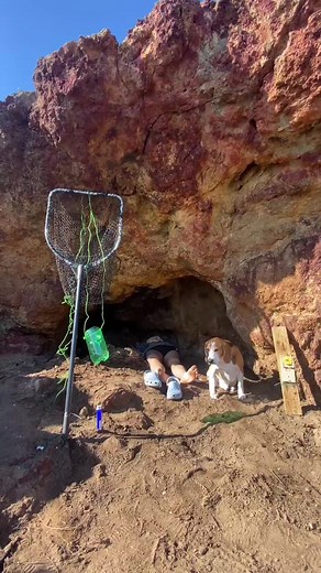 Smoke Bomb Spider | How to Make a Smoke Bomb to Get Rid of Spiders