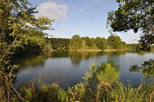 TBD Old Riley Fuzzel Rd, Spring, TX 77386 - HAR.com