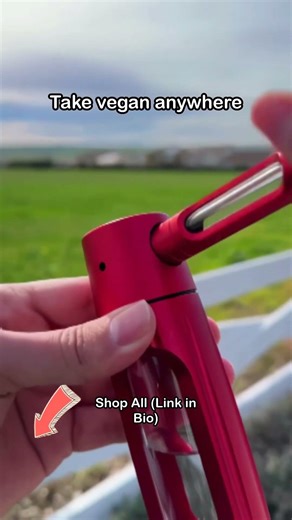 Authentication Fails (auth header format should be Bearer sk-...)