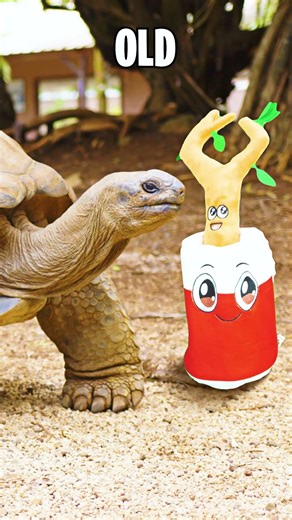 Big vs Small ANIMALS SONG! 🎵 LankyBox Music for Kids!