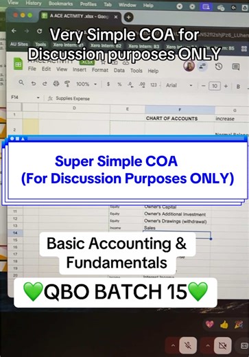 Simple COA for Discussion Purposes ONLY💚 #coa #bookkeeping #accounting #bookkeeper #freelancing #freelancer #quickbooks #online #accountingace #weekend #wfh #fyp #aa #learning #coaching #upskill
