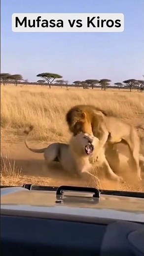 Mufasa Rescues Sarabi in an Epic Lion King Moment!