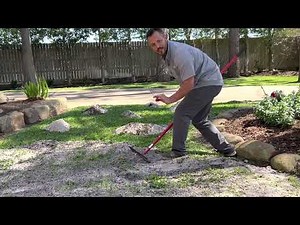 Lawn Leveling St Augustine with Mason Sand #lawncare #lawnleveling