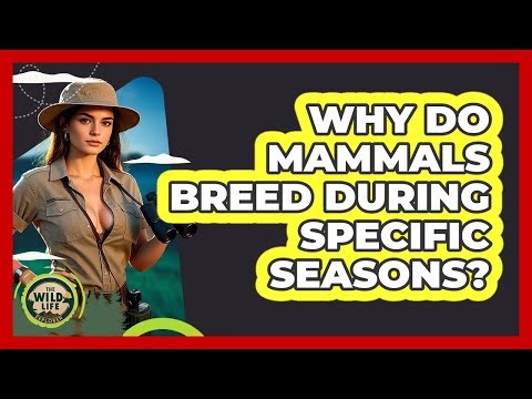 Why Do Mammals Breed During Specific Seasons?