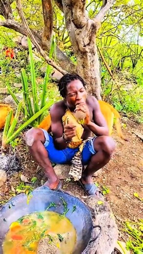 Peaceful Jungle Dining Under the Blue Sky 🌤️ Nature Vibes#junglelife #naturevibes #shorts