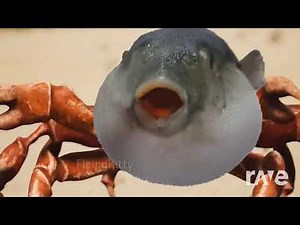 Rave Pufferfish - Flyingkitty & Noisestorm | RaveDj