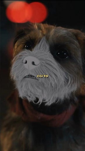 How Dogs Talk in Movies