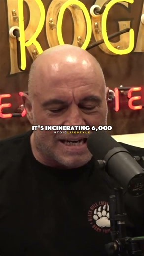 California's Solar Farm Kills 6,000 Birds - Joe Rogan