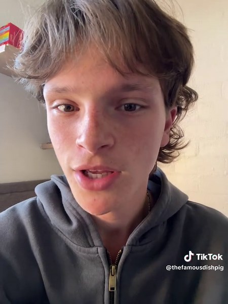 The Famous Dish Pig (@thefamousdishpig)’s videos with original sound - user