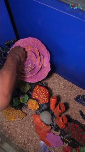 Transformasi total aquarium Uya Kuya, dari freshwater tank, jadi reef tank! #uyakuya #reeftank #reef