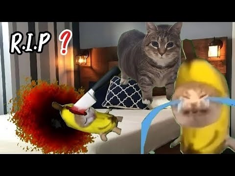 The FUNNIEST Banana Cat Moment You’ll See Today ❤️