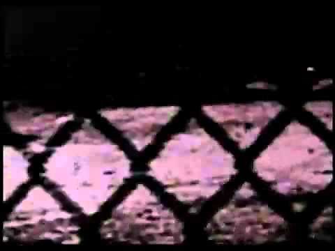 MC Breed- Ain't No Future In Yo Frontin