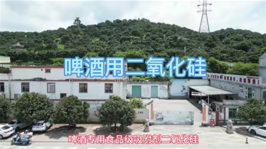 啤酒用二氧化硅