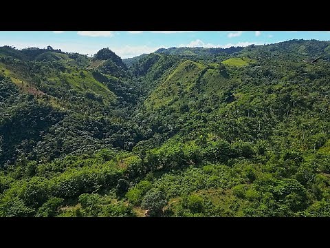 Entdecken Sie Samaná: Die grünste und wildeste Region der Dominikanischen Republik