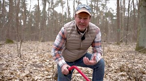 Testosterone: What it is and how it affects health