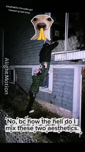 PLEASE HELP. I DON'T KNOW HOW TOOOOOOOOOOOO #help #aesthetic #myballslightuplikeaglowstick #myballsareonfireagain #Silly #cool