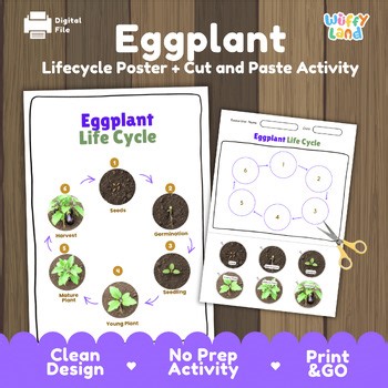 Eggplant Life Cycle Activity Worksheet Plant Science Gardening Real Photos