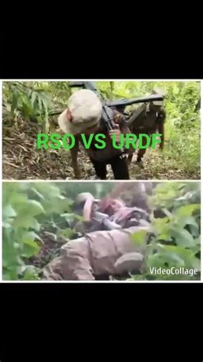 rohingya solidarity organisation RSO ARKAN DEFENCE FORCE URDF ARKAN ARMY videos 🪖🪖 #rootingforroona