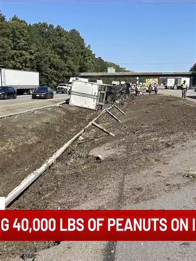 Virginia State Police is investigating a crash involving an overturned tractor-trailer on I-95 in Hanover. VSP says around 11:09 a.m., a tractor-trailer carrying around 40,000 pounds of peanuts was driving north when a front tire blew out and veered off left side of the roadway and overturned in the median. The crash caused significant damage to guardrails in both directions and damaged pavement along the northbound shoulder. The truck’s diesel fuel tank also ruptured, spilling an estimated 25 t