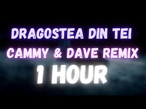 O-Zone - Dragostea Din Tei (Cammy x Dave Remix) | 1 HOUR