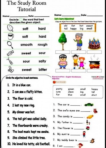 Grammar Learning Worksheet | English Grammar Practice for Kids | Easy Grammar Exercise