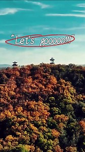 "Beauty of Harbin's autumn" Harbin’s autumn is famous for its colorful mountains. Various trees display a multitude of different colors, covering the earth with a colorful coat. Come and experience the beauty of Harbin’s autumn with the red maples of Harbin Engineering University, the colorful mountains of Maoer Mountain and Phoenix Mountain. #china #discoverharbin #harbin #travel #icecity #city #autumn #beauty #tree #colorful #colors #university #mountains #harbinengineeringuniversity | Discove