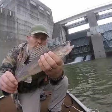 Sauger Fishing - Cordell Hull Dam, TN