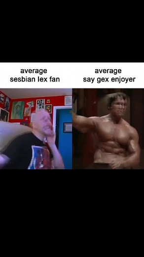 Average say gex enjoyer | SayGex Fan Memes Compilation