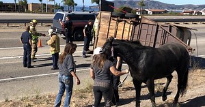CAL FIRE SLO extricates 2 horses from overturned horse trailer on Highway 101