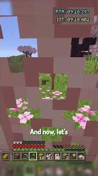 Minecraft, but I'm hunting down a random item. (#39)