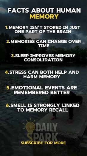 🧠 6 Fascinating Facts About Human Memory You Never Knew!