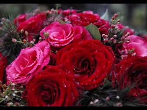 Red Red Rose´by Robert Burns - "Air" Johann Sebastian Bach