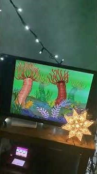 Opening SPONGEBOB SQUAREPANTS SPONGEBOB GOES PREHISTORIC DVD